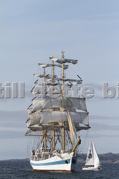 TSR2011_2 157.JPG